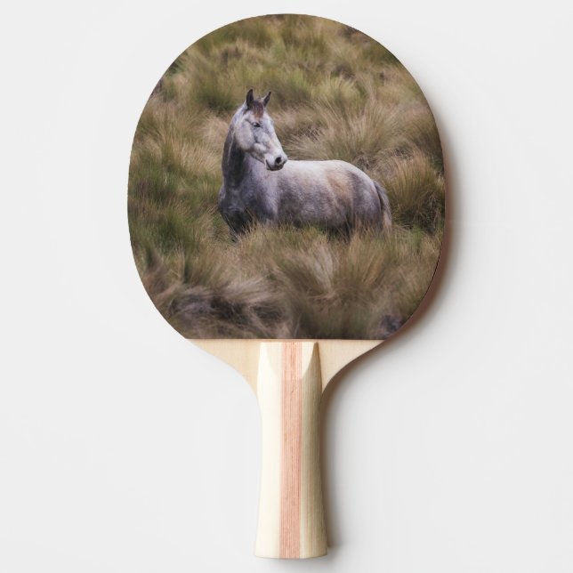 Snygg Grått Färgad Horse Pingisracket (Framsidan)