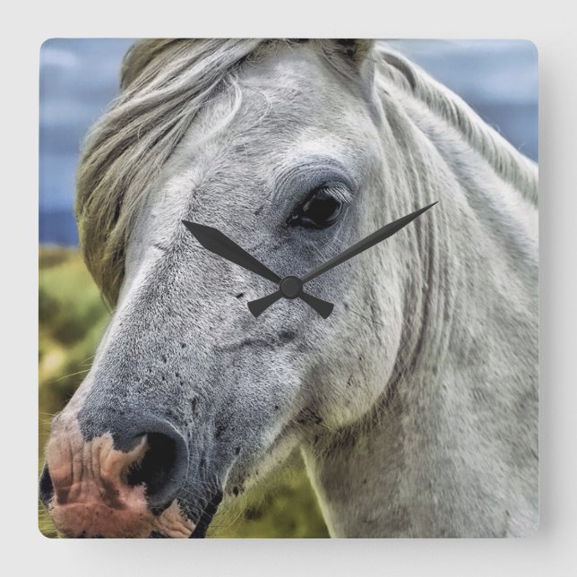 Snygg grått-häst fyrkantig klocka (Framsida)