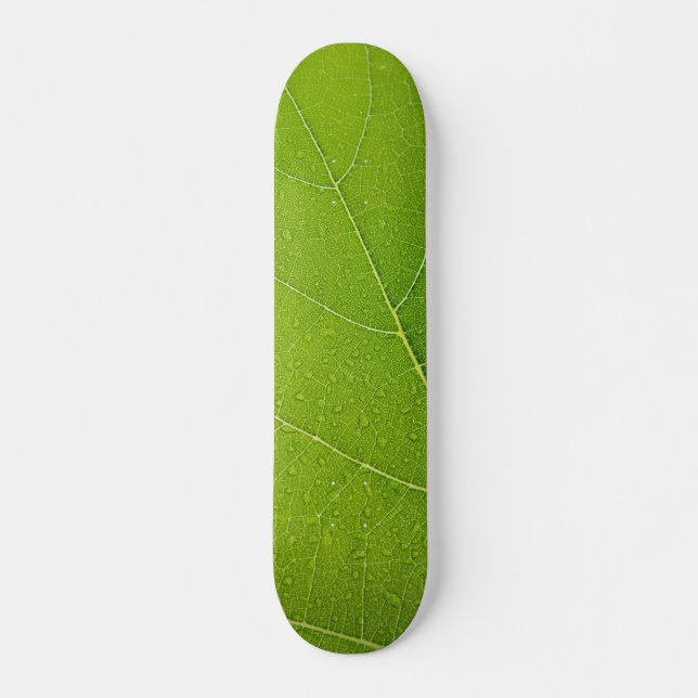 Snygg Grönt Löv Mini Skateboard Bräda 18,5 Cm (Framsida)