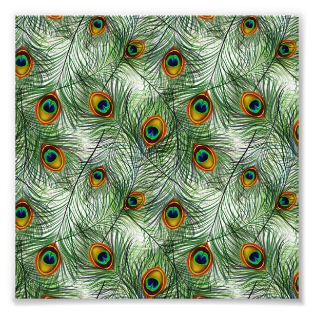 Snygg Grönt Peacock Feather Fototryck (Framsidan)