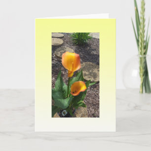 Snygg Gula blommor Blank Kort