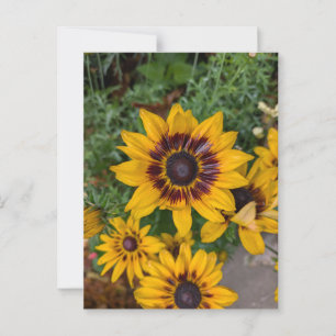 Snygg gula blommor vykort