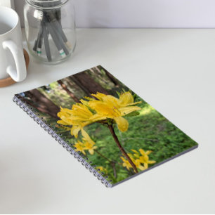 Snygg Gult Azalea Blommigt Anteckningsbok