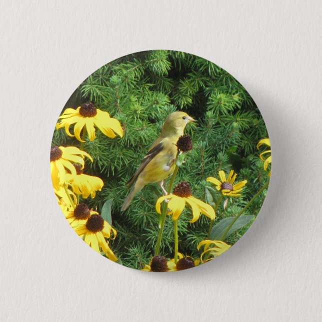 Snygg Gult Bird Button Knapp (Framsida)