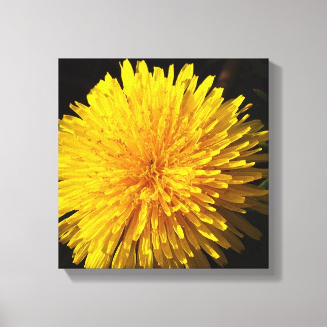 Snygg Gult Dandelion Canvastryck (Framsida)