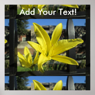 Snygg Gult Lily Poster