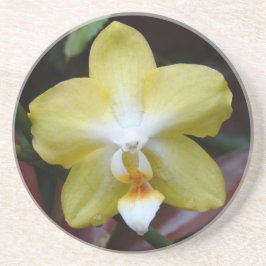 Snygg Gult Orchid Underlägg