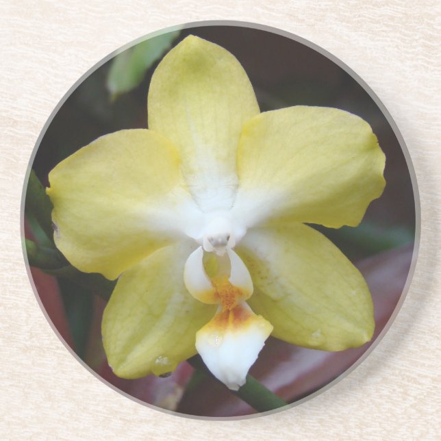 Snygg Gult Orchid Underlägg (Framsidan)
