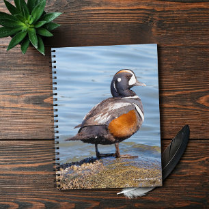 Snygg Harlequin Anka på Sten Anteckningsbok Med Spiral