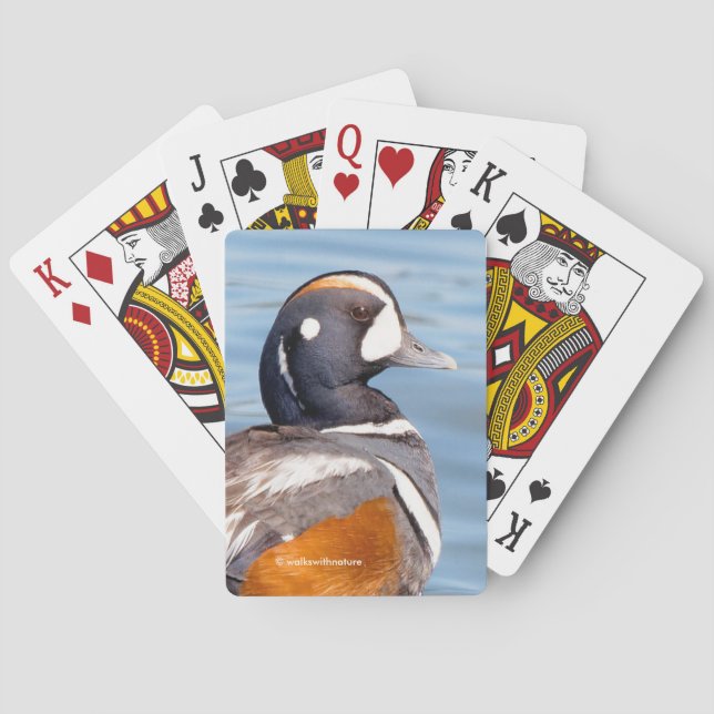 Snygg Harlequin Anka på Sten Casinokort (Baksidan)