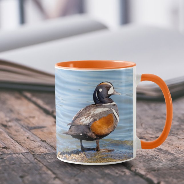Snygg Harlequin Anka på Sten Mugg (Harlequin Duck on the Rocks 11 oz Coffee Mug Cover Photo.)