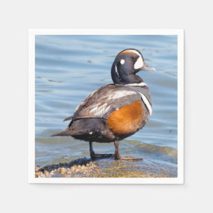 Snygg Harlequin Anka på Sten Pappersservett
