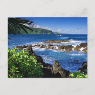 Snygg Hawaii, scenvy, Vykort