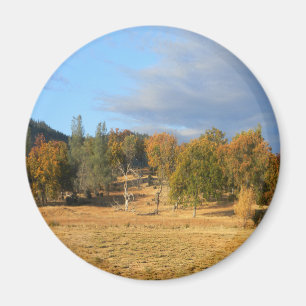 Snygg Hayfork, Kalifornien.... Magnet