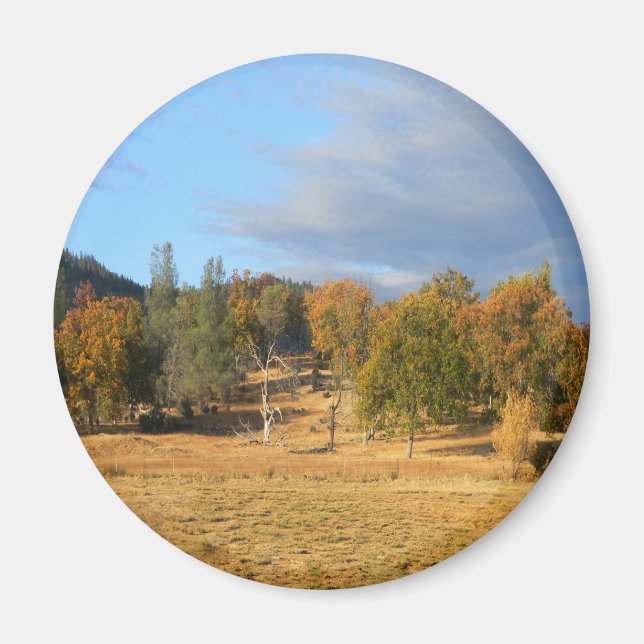 Snygg Hayfork, Kalifornien.... Magnet (Framsidan)