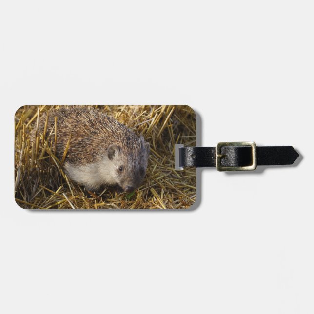 Snygg Hedgehog i Stubble Fält Bagagebricka (Horisontell Framsida)