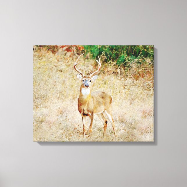 Snygg Hjort av Vild Buck Photographic Art Canvastryck (Framsida)