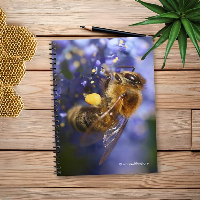 Snygg Honeybee på Kalifornien Lilac Anteckningsbok Med Spiral (Honeybee on the California Lilac Journal Cover Photo)