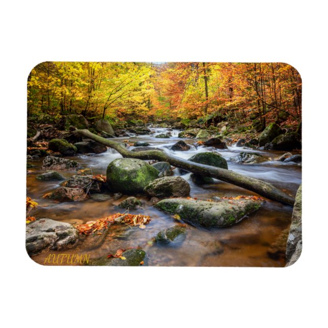 Snygg höstskog magnet (Horisontell)