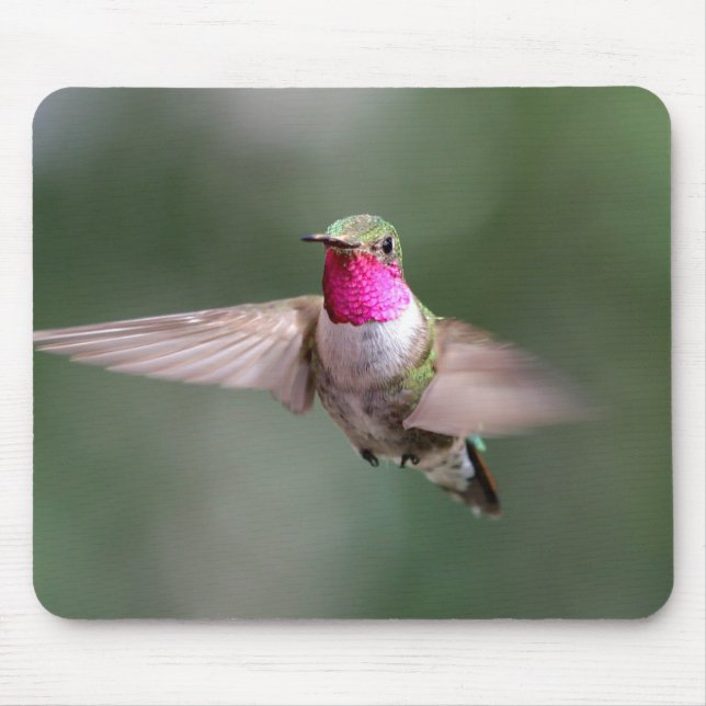 Snygg Hummingbird i Flight Mouse Pad Musmatta (Framsidan)