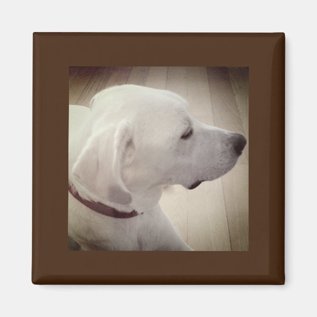 Snygg Hund-profilfoto Magnet (Framsidan)