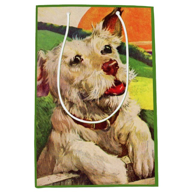snygg hund snygg hund (Framsidan)
