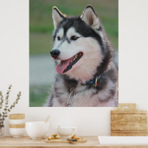 Snygg Husky Art Print Sled Hund