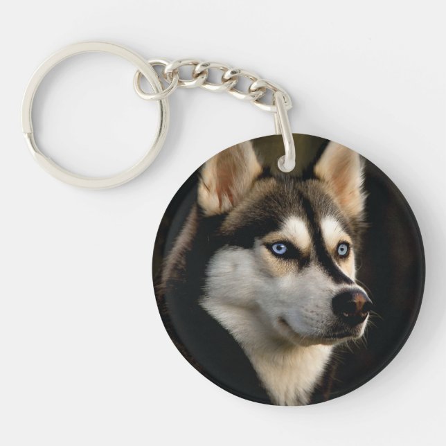 Snygg Husky Dekorativ kudde (Framsidan)