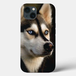 Snygg Husky Dekorativ kudde