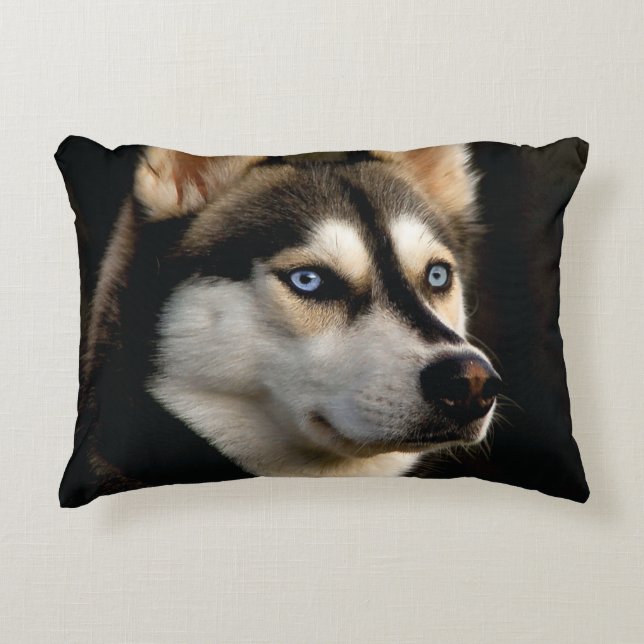 Snygg Husky Dekorativ kudde (Framsidan)