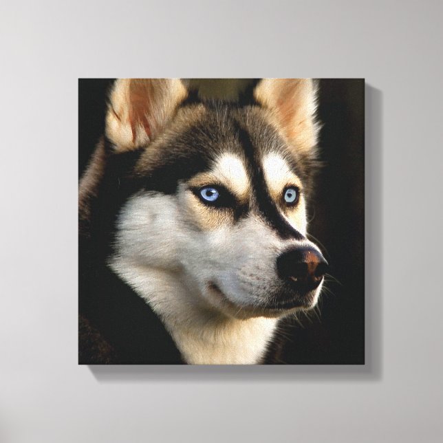 Snygg Husky Dekorativ kudde Canvastryck (Framsida)