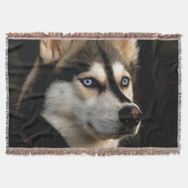 Snygg Husky Dekorativ kudde Filt (Framsidan)