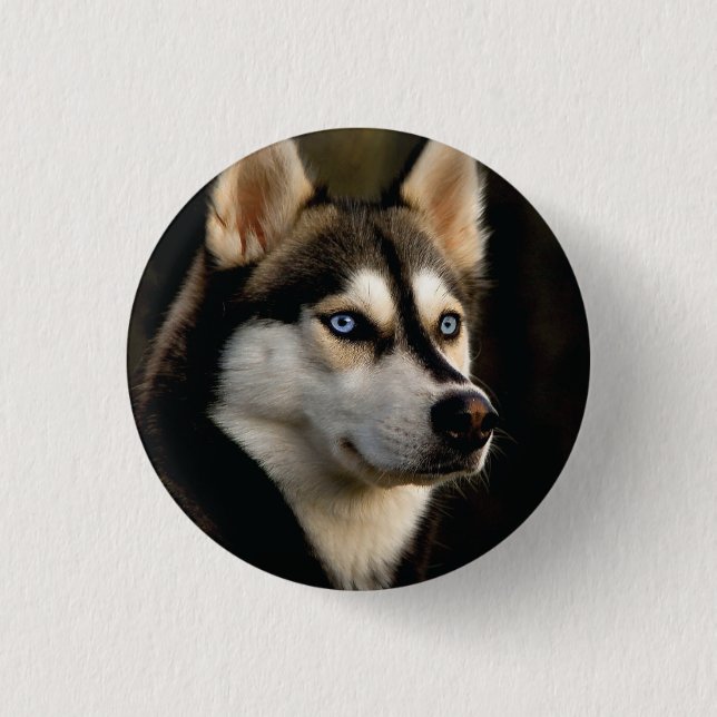 Snygg Husky Dekorativ kudde Knapp (Framsida)