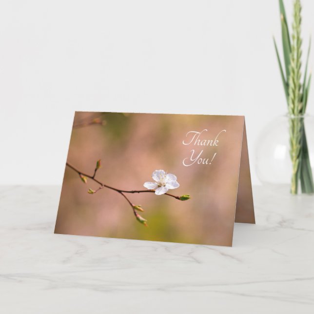 Snygg japansk Apricot Flower Tack Kort (Framsida)