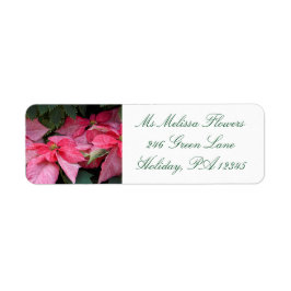 Snygg jul Poinsettia Photo Returadress Etikett