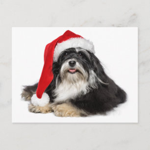 Snygg julaftonHund med Santa Hat Helg Vykort