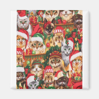 Snygg julkattfamilj, Cat Glare Design Magnet