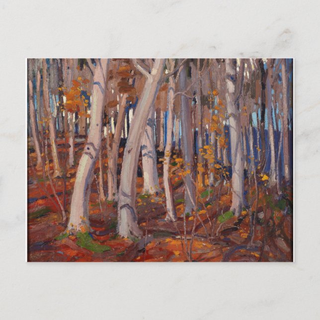 Snygg kanadensisk Tom Thomson White Birches Painti Vykort (Framsida)