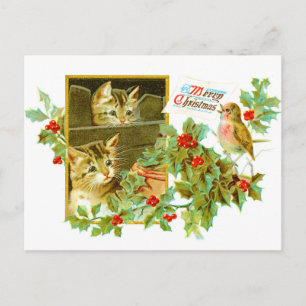 Snygg Kattunge och Robin Cute Vintage-jul Helg Vykort