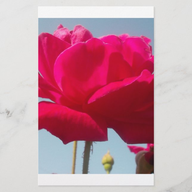 Snygg, kelestial Ro Red mot Blue (Framsida)