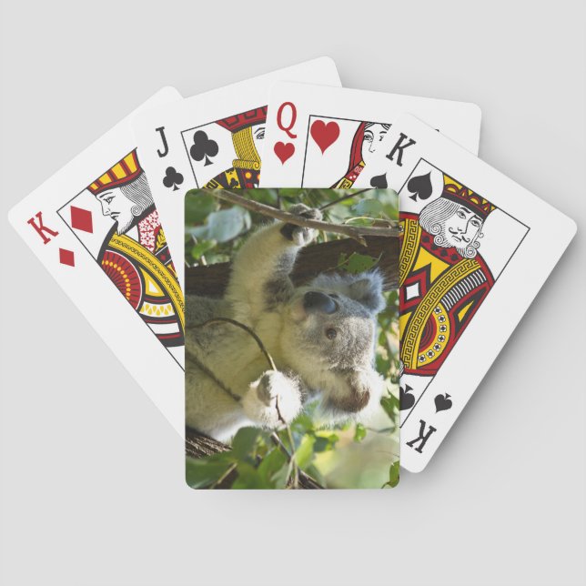 Snygg Koala Bear i Träd Casinokort (Baksidan)