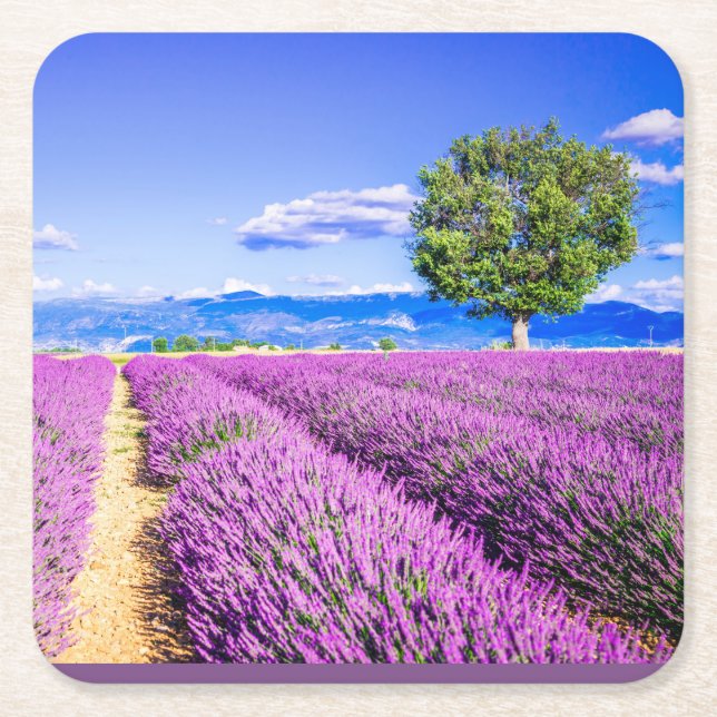 Snygg lavender fält i Provence, Frankrike Underlägg Papper Kvadrat (Framsidan)