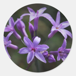 Snygg Lila Blåa blommor Sticker Runt Klistermärke