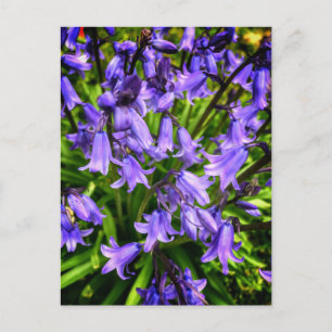 Snygg lila blommor vykort