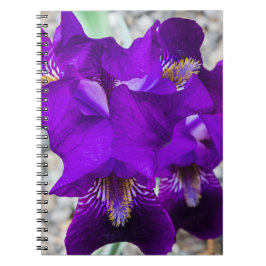 Snygg lila iris anteckningsbok