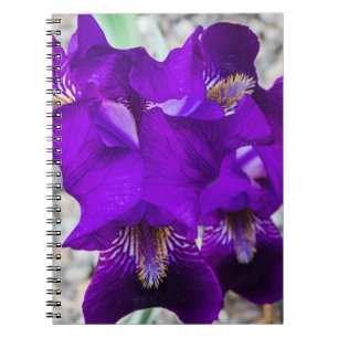 Snygg lila iris anteckningsbok