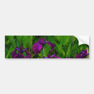 Snygg Lila Iris Bildekal
