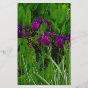 Snygg Lila Iris Brevpapper