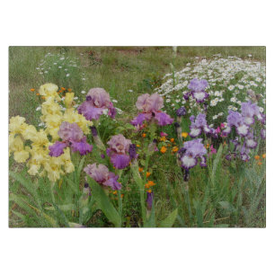 Snygg Lila Iris Flower blommigt Photo