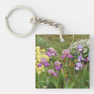 Snygg Lila Iris Flower blommigt Photo